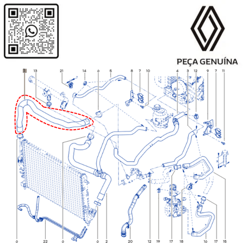 RN 215014 215014588R MANGUEIRA SUP. DO RADIADOR DUSTER 2.0 16V F4R 3